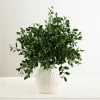 Kirkland's Home Potted Greenery Mix Arrangement, 15 In.- Arrangements & Greenery