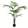 Kirkland's Home Potted Kentia Palm Tree, 6 Ft.- Trees & Topiaries