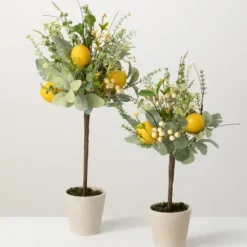 Kirkland's Home Potted Lemon And Berry Herb Trees, Set Of 2- Trees & Topiaries