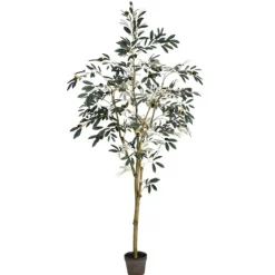 Kirkland's Home Potted Olive Branch Tree, 6 Ft.- Trees & Topiaries
