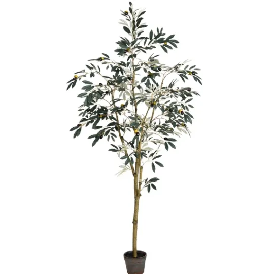 Kirkland's Home Potted Olive Branch Tree, 6 Ft.- Trees & Topiaries
