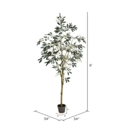 Kirkland's Home Potted Olive Branch Tree, 6 Ft.- Trees & Topiaries