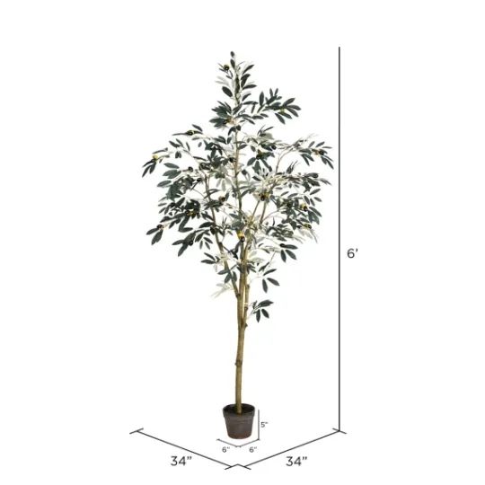 Kirkland's Home Potted Olive Branch Tree, 6 Ft.- Trees & Topiaries