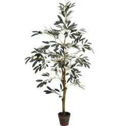 Kirkland's Home Potted Olive Tree, 4 Ft.- Trees & Topiaries