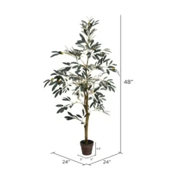 Kirkland's Home Potted Olive Tree, 4 Ft.- Trees & Topiaries