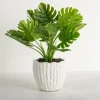 Kirkland's Home Potted Palm Leaves Arrangement- Arrangements & Greenery