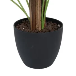 Kirkland's Home Potted Small Leaf Fern Palm Plant, 35 In.- Arrangements & Greenery