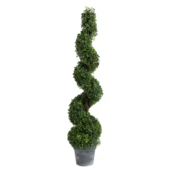 Kirkland's Home Potted Spiral Boxwood Tree- Trees & Topiaries