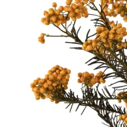 Kirkland's Home Preserved Autumn Rice Flower Bundle- Stems & Bouquets
