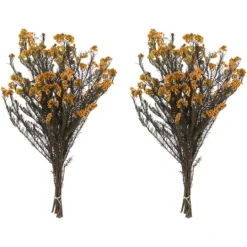 Kirkland's Home Preserved Autumn Rice Flower Bundle- Stems & Bouquets