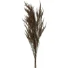 Kirkland's Home Preserved Green Reed Grass Bundle- Stems & Bouquets