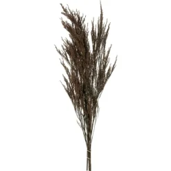 Kirkland's Home Preserved Green Reed Grass Bundle- Stems & Bouquets