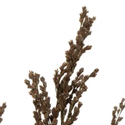 Kirkland's Home Preserved Green Reed Grass Bundle- Stems & Bouquets