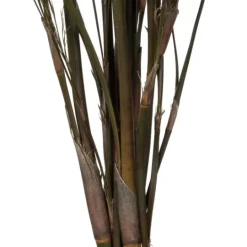 Kirkland's Home Preserved Green Reed Grass Bundle- Stems & Bouquets