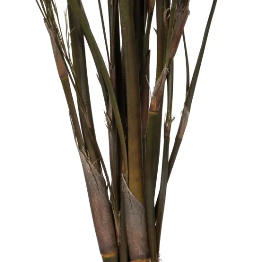 Kirkland's Home Preserved Green Reed Grass Bundle- Stems & Bouquets