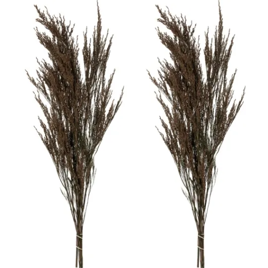 Kirkland's Home Preserved Green Reed Grass Bundle- Stems & Bouquets