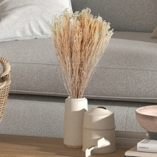 Kirkland's Home Preserved Natural Bleached Staavia Bush- Stems & Bouquets