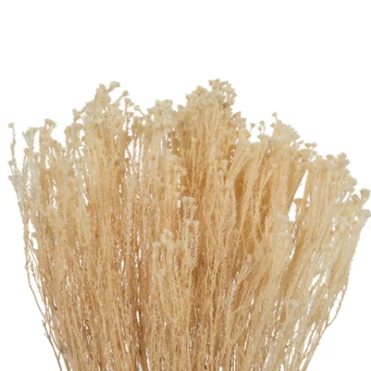 Kirkland's Home Preserved Natural Bleached Staavia Bush- Stems & Bouquets