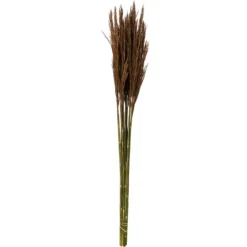 Kirkland's Home Preserved Plume Reed Bundles, Set Of 2- Stems & Bouquets