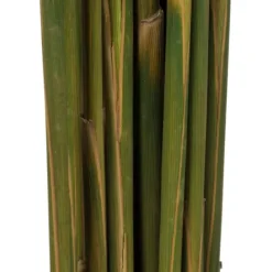 Kirkland's Home Preserved Plume Reed Bundles, Set Of 2- Stems & Bouquets
