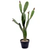 Kirkland's Home Prickly Pear Cactus In Black Pot- Trees & Topiaries