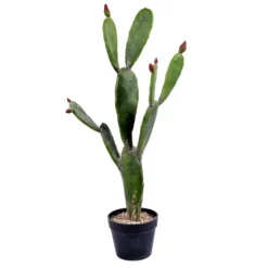 Kirkland's Home Prickly Pear Cactus In Black Pot- Trees & Topiaries