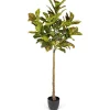 Kirkland's Home Real Touch Croton Leaf Tree In Black Pot, 6 Ft.- Trees & Topiaries
