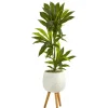 Kirkland's Home Real Touch Dracaena In Mossy Tripod Planter- Trees & Topiaries
