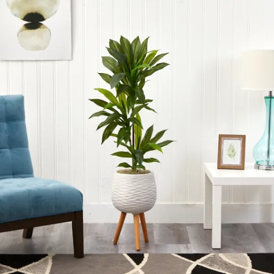 Kirkland's Home Real Touch Dracaena In Mossy Tripod Planter- Trees & Topiaries