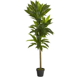 Kirkland's Home Real Touch Dracaena Tree In Black Planter- Trees & Topiaries