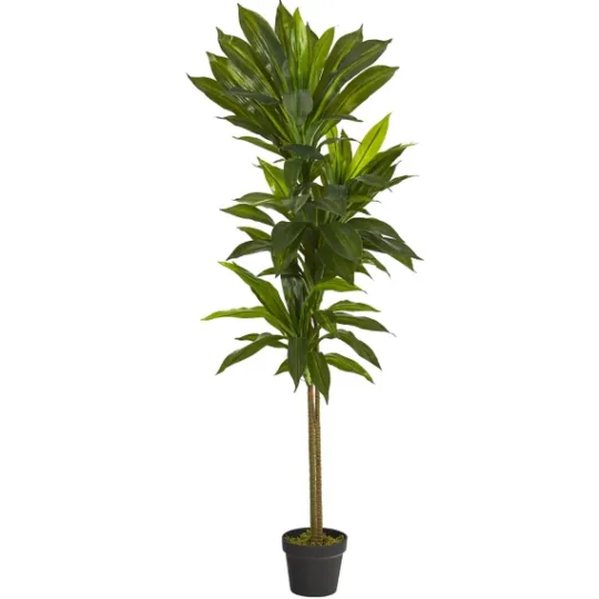 Kirkland's Home Real Touch Dracaena Tree In Black Planter- Trees & Topiaries