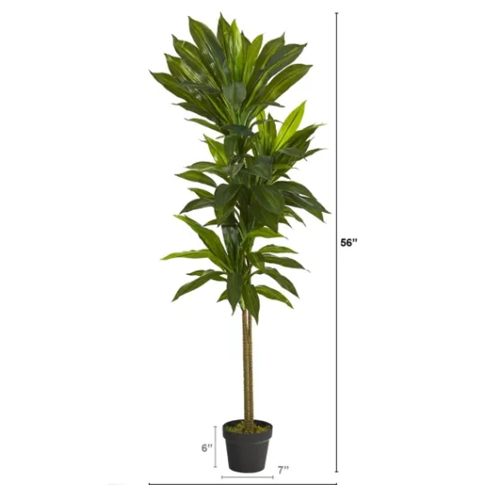 Kirkland's Home Real Touch Dracaena Tree In Black Planter- Trees & Topiaries