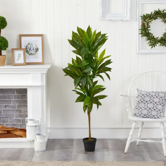 Kirkland's Home Real Touch Dracaena Tree In Black Planter- Trees & Topiaries