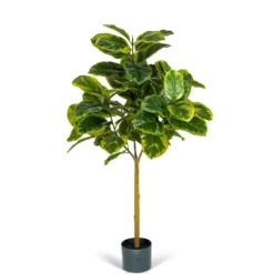 Kirkland's Home Real Touch Variegated Ficus Altissima Tree, 4 Ft.- Trees & Topiaries
