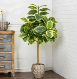 Kirkland's Home Real Touch Variegated Ficus Altissima Tree, 4 Ft.- Trees & Topiaries