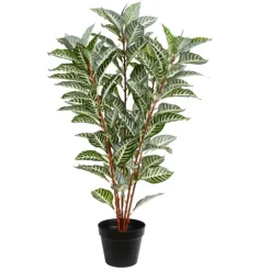Kirkland's Home Real Touch Zebra Plant In Nursery Planter- Trees & Topiaries