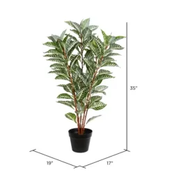Kirkland's Home Real Touch Zebra Plant In Nursery Planter- Trees & Topiaries