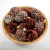 Kirkland's Home Red Glitter Cinnamon Pinecones Potpourri- Home Fragrance