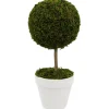 Kirkland's Home Reindeer Moss Ball Topiary In White Planter- Trees & Topiaries