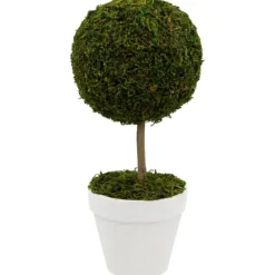 Kirkland's Home Reindeer Moss Ball Topiary In White Planter- Trees & Topiaries