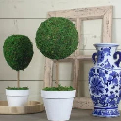 Kirkland's Home Reindeer Moss Ball Topiary In White Planter- Trees & Topiaries