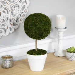 Kirkland's Home Reindeer Moss Ball Topiary In White Planter- Trees & Topiaries