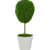 Kirkland's Home Reindeer Moss Ball Topiary In White Pot- Trees & Topiaries