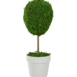 Kirkland's Home Reindeer Moss Ball Topiary In White Pot- Trees & Topiaries
