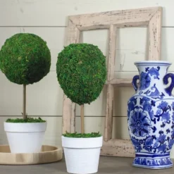 Kirkland's Home Reindeer Moss Ball Topiary In White Pot- Trees & Topiaries
