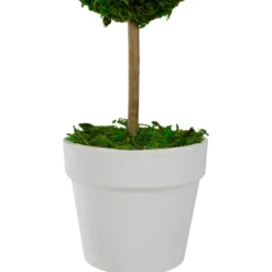 Kirkland's Home Reindeer Moss Ball Topiary In White Pot- Trees & Topiaries