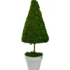 Kirkland's Home Reindeer Moss Cone Topiary In White Planter- Trees & Topiaries