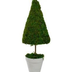 Kirkland's Home Reindeer Moss Cone Topiary In White Planter- Trees & Topiaries