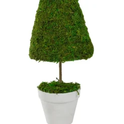 Kirkland's Home Reindeer Moss Cone Topiary In White Planter- Trees & Topiaries