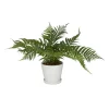Kirkland's Home River Rock Fern In Ribbed White Planter- Arrangements & Greenery